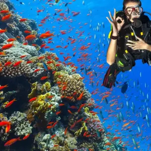 Explore All-Inclusive Budget Trip to Cairo and Hurghada for 5 days with Beyond The Nile Tours and discover unforgettable experiences - Photo 5