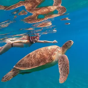 Explore All-Inclusive Budget Trip to Cairo and Hurghada for 5 days with Beyond The Nile Tours and discover unforgettable experiences - Photo 6