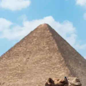 Explore Grand Egyptian GEMs: Hidden Pyramids and the Nile - Return Flight Included - 9 Days for 9 days with Beyond The Nile Tours and discover unforgettable experiences - Photo 4