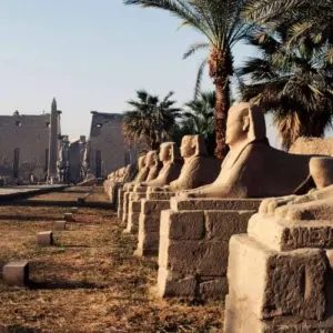 Explore Egyptian Tour: Cairo, Luxor, Abu Simbel, and the Red Sea (8 Days)  Return Domestic Flights Included for 8 days with Beyond The Nile Tours and discover unforgettable experiences - Photo 5