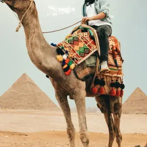 Explore Nile Adventure Odyssey - Return Flights Included for 11 days with Beyond The Nile Tours and discover unforgettable experiences - Photo 10