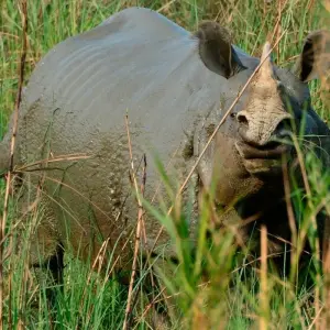 Explore don't be slow! our prices are best. 11 nights 12 days nepal bhutan tour 2024-2026 for 12 days with Bhutan Travel Gate and discover unforgettable experiences - Photo 6