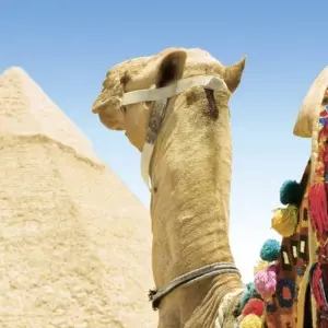 Explore Cairo Short Break Tours - 5 Days for 5 days with Beyond The Nile Tours and discover unforgettable experiences - Photo 10