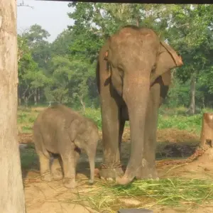 Explore don't be slow! our prices are best. 11 nights 12 days nepal bhutan tour 2024-2026 for 12 days with Bhutan Travel Gate and discover unforgettable experiences - Photo 7