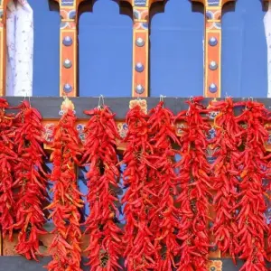 Explore 12 nights 13 days Bhutan-Leh Ladakh (India) Group Tour 2024-2026 for 13 days with Bhutan Travel Gate and discover unforgettable experiences - Photo 8