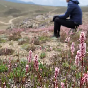 Explore Hunza & Skardu Cultural & Walking Tour for 14 days with Beyond the Valley  and discover unforgettable experiences - Photo 7