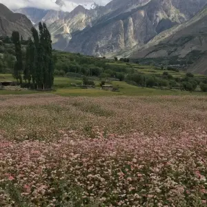 Explore K2 Basecamp for 19 days with Beyond the Valley  and discover unforgettable experiences - Photo 8
