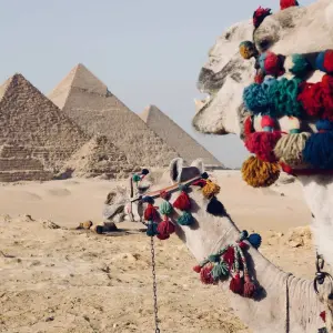 Explore 10 Days Classical Tour In Egypt for 10 days with Beyond The Nile Tours and discover unforgettable experiences - Photo 11