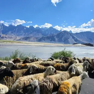 Explore Charakusa (K7) Basecamp Trek for 12 days with Beyond the Valley  and discover unforgettable experiences - Photo 9