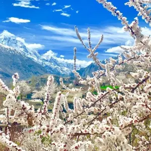 Explore Pakistan- Women's Expedition to Hunza Valley for 9 days with Beyond the Valley  and discover unforgettable experiences - Photo 11