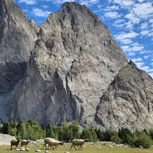 Explore Masherbrum (K1)Basecamp Trek for 11 days with Beyond the Valley  and discover unforgettable experiences - Photo 9
