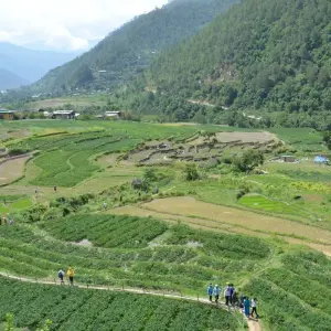 Explore Bhutan Adventure with Bumdra Trek for 8 days with Bhutan Green Travel (BGT) and discover unforgettable experiences - Photo 3