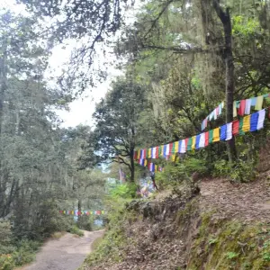 Explore Bhutan Adventure with Bumdra Trek for 8 days with Bhutan Green Travel (BGT) and discover unforgettable experiences - Photo 4