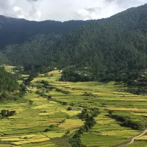 Explore Amazing Bhutan From East To West for 16 days with Bhutan Acorn Tours & Travel and discover unforgettable experiences - Photo 2