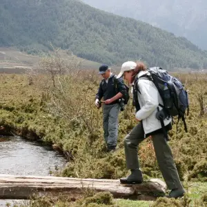 Explore Wonders of Bhutan With 3-Day Gangtey Nature Trek for 12 days with Bhutan Acorn Tours & Travel and discover unforgettable experiences - Photo 2