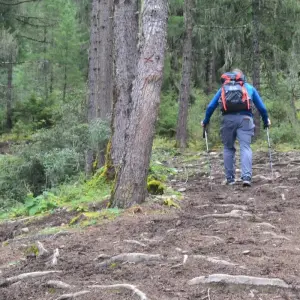 Explore Pristine Druk Path Trek for 10 days with Bhutan Green Travel (BGT) and discover unforgettable experiences - Photo 6