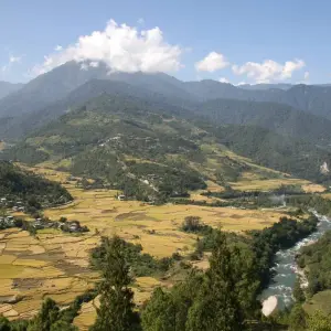 Explore Best of Bhutan Tour for 6 days with Bhutan Acorn Tours & Travel and discover unforgettable experiences - Photo 3