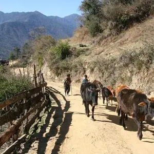 Explore A Cultural Journey With Nature Trek in Central Bhutan for 14 days with Bhutan Acorn Tours & Travel and discover unforgettable experiences - Photo 5