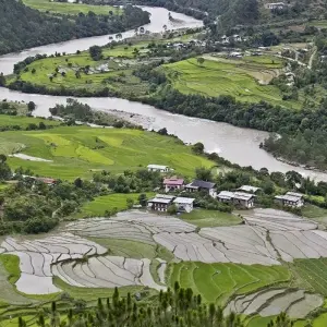 Explore Explore the Hidden Kingdom of Bhutan for 6 days with Bhutan Acorn Tours & Travel and discover unforgettable experiences - Photo 7