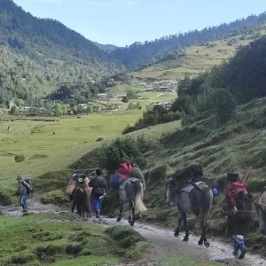 Explore Wonders of Bhutan With 3-Day Gangtey Nature Trek for 12 days with Bhutan Acorn Tours & Travel and discover unforgettable experiences - Photo 5
