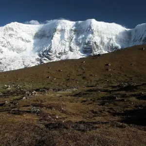 Explore Bhutan Jomolhari Trek From Paro To Thimphu Via Lingzhi for 13 days with Bhutan Acorn Tours & Travel and discover unforgettable experiences - Photo 4