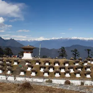 Explore Wonders of Bhutan With 3-Day Gangtey Nature Trek for 12 days with Bhutan Acorn Tours & Travel and discover unforgettable experiences - Photo 7
