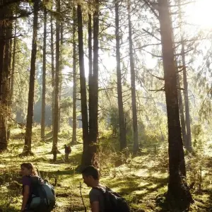 Explore Bhutan Majestic Jomolhari Basecamp Loop Trek for 11 days with Bhutan Acorn Tours & Travel and discover unforgettable experiences - Photo 5