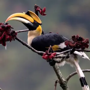 Explore A Cultural Journey With Nature Trek in Central Bhutan for 14 days with Bhutan Acorn Tours & Travel and discover unforgettable experiences - Photo 8
