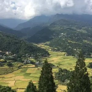 Explore Explore the Hidden Kingdom of Bhutan for 6 days with Bhutan Acorn Tours & Travel and discover unforgettable experiences - Photo 10