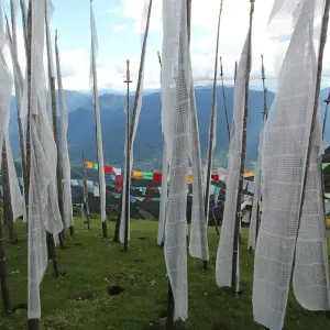 Explore Wonders of Bhutan With 3-Day Gangtey Nature Trek for 12 days with Bhutan Acorn Tours & Travel and discover unforgettable experiences - Photo 9