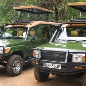 Explore 5 Days Wildlife Adventure - Mombasa for 5 days with Bigzone Africa Safaris and discover unforgettable experiences - Photo 2