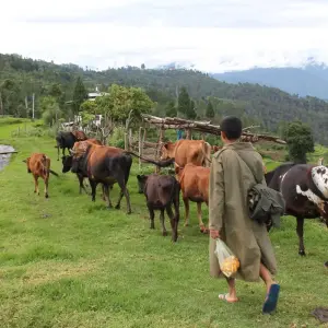 Explore Best of Bhutan Tour for 6 days with Bhutan Acorn Tours & Travel and discover unforgettable experiences - Photo 9