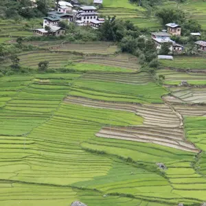 Explore Druk Path Trek and Cultural Tour In Pristine Bhutan for 10 days with Bhutan Acorn Tours & Travel and discover unforgettable experiences - Photo 10