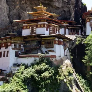 Explore Wonders of Bhutan With 3-Day Gangtey Nature Trek for 12 days with Bhutan Acorn Tours & Travel and discover unforgettable experiences - Photo 10