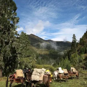 Explore Bhutan Jomolhari Trek From Paro To Thimphu Via Lingzhi for 13 days with Bhutan Acorn Tours & Travel and discover unforgettable experiences - Photo 9