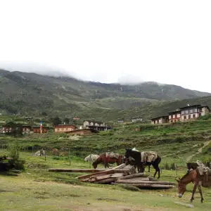 Explore Bhutan Scenic Jomolhari Laya Gasa Trek for 17 days with Bhutan Acorn Tours & Travel and discover unforgettable experiences - Photo 10