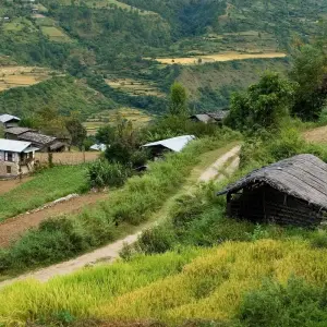 Explore Bhutan Cultural Tour With 2-Day Trek in Bumthang Valley for 14 days with Bhutan Acorn Tours & Travel and discover unforgettable experiences - Photo 11