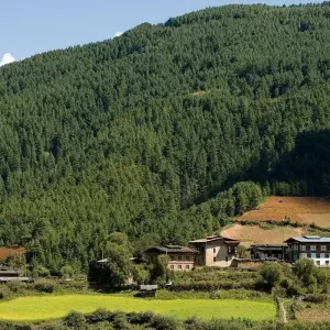 Explore Dagala Thousand Lakes Trek in Bhutan for 10 days with Bhutan Acorn Tours & Travel and discover unforgettable experiences - Photo 10