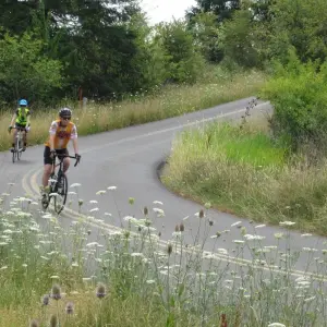 Explore Willamette Valley: A Promised Land Bike Tour for 5 days with Bicycle Adventures and discover unforgettable experiences - Photo 3
