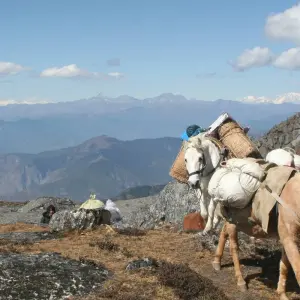 Explore Dagala Thousand Lakes Trek in Bhutan for 10 days with Bhutan Acorn Tours & Travel and discover unforgettable experiences - Photo 11