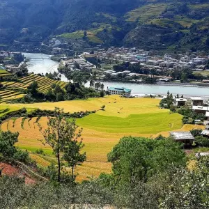 Explore Bhutan Explorer 4-Star Luxury Holidays for 7 days with Bhutan Acorn Tours & Travel and discover unforgettable experiences - Photo 11