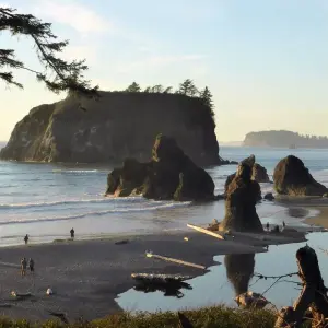 Explore Olympic National Park & Discovery Trail Bike Tour for 6 days with Bicycle Adventures and discover unforgettable experiences - Photo 2