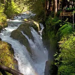 Explore Olympic National Park & Discovery Trail Bike Tour for 6 days with Bicycle Adventures and discover unforgettable experiences - Photo 3