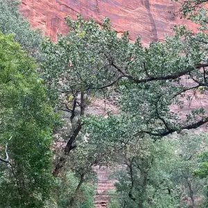 Explore Bryce and Zion National Parks Bike Tour for 6 days with Bicycle Adventures and discover unforgettable experiences - Photo 2