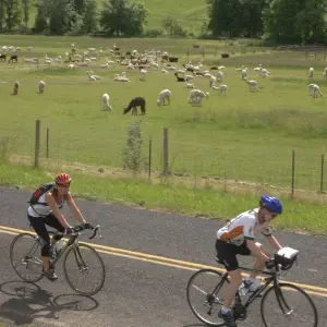 Explore Willamette Valley: A Promised Land Bike Tour for 5 days with Bicycle Adventures and discover unforgettable experiences - Photo 7