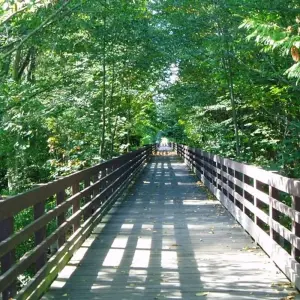 Explore Olympic National Park & Discovery Trail Bike Tour for 6 days with Bicycle Adventures and discover unforgettable experiences - Photo 5