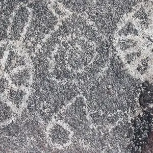 Explore Arizona Sonora Bike Tour for 6 days with Bicycle Adventures and discover unforgettable experiences - Photo 3