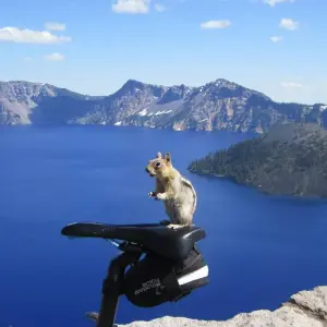 Explore Oregon Crater Lake Bike Tour for 6 days with Bicycle Adventures and discover unforgettable experiences - Photo 5