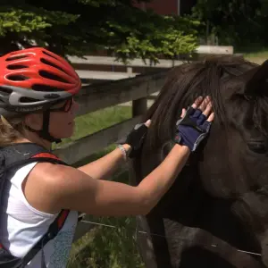 Explore Willamette Valley: A Promised Land Bike Tour for 5 days with Bicycle Adventures and discover unforgettable experiences - Photo 8