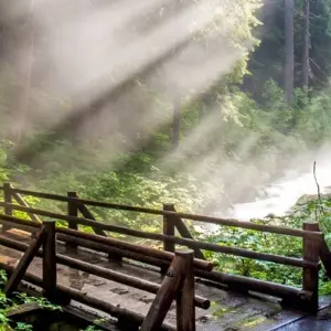 Explore Olympic National Park & Discovery Trail Bike Tour for 6 days with Bicycle Adventures and discover unforgettable experiences - Photo 6